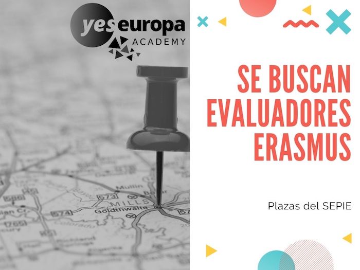 evaluadores erasmus